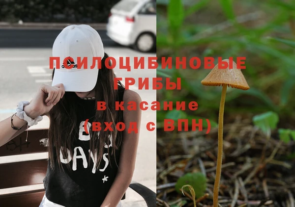 бутират Баксан